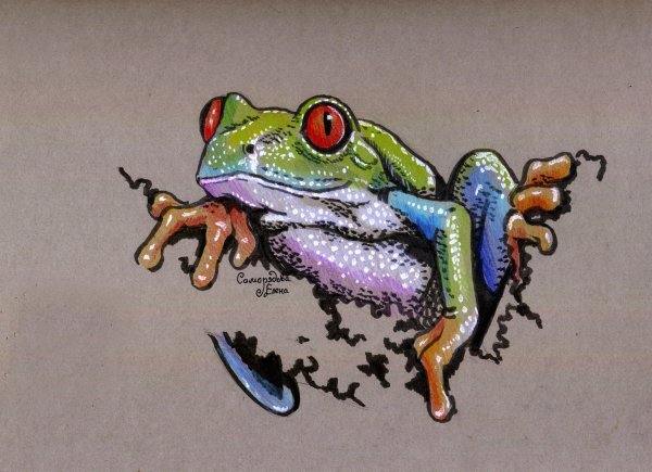 Жаба цветными карандашами