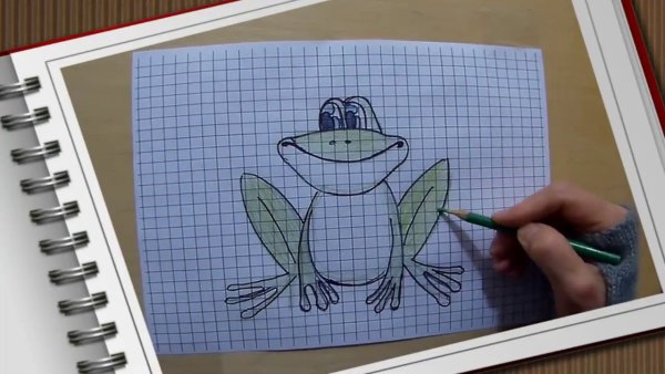 Лягушка рисунок в клеточку лёгкий