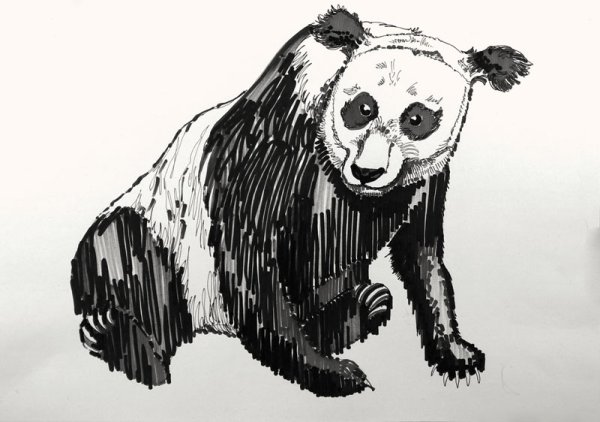 Панда маркерами