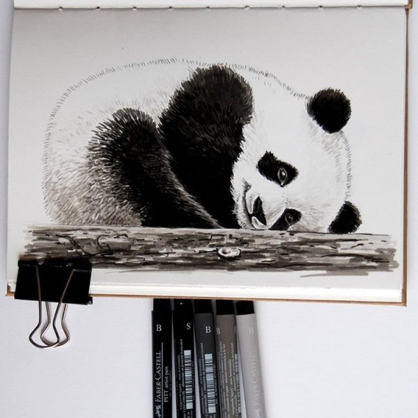 Идеи для рисования панды
