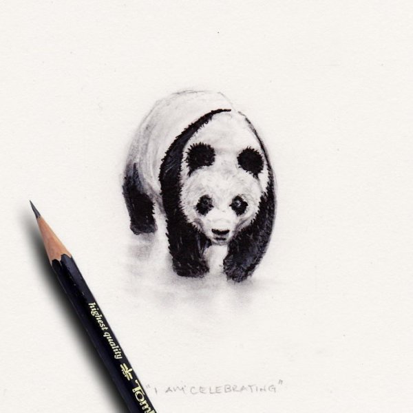 Панда гелевой ручкой