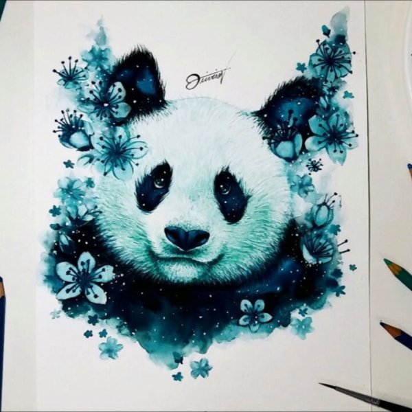 Панда цветными карандашами