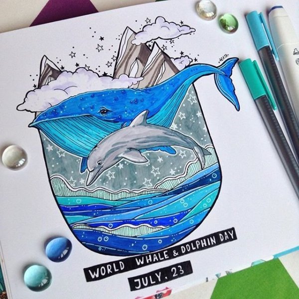 Кит скетч маркерами