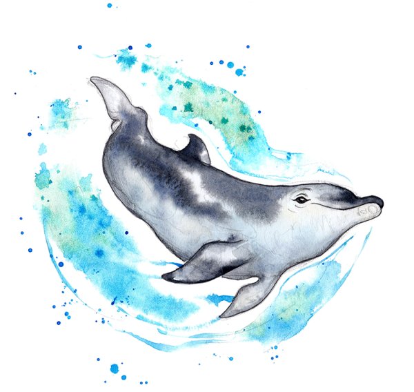 Скетчинг Дельфин