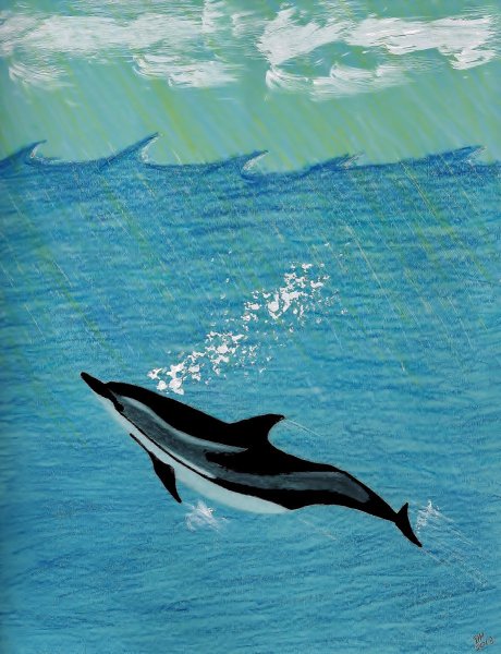 Дельфины фломастерами