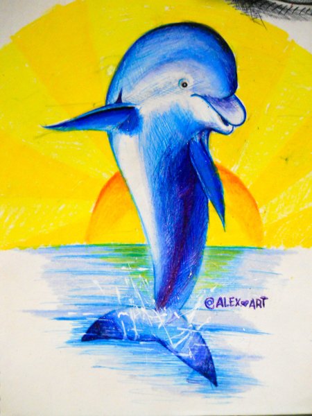 Дельфин рисунок