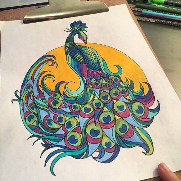 Жар птица рисунок