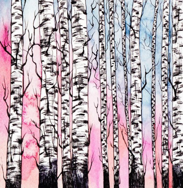 Береза в графическом стиле