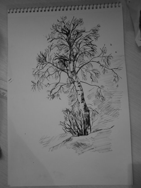 Рисование Березовая роща с детьми