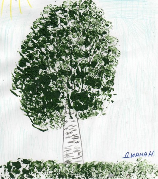 Береза из сказки