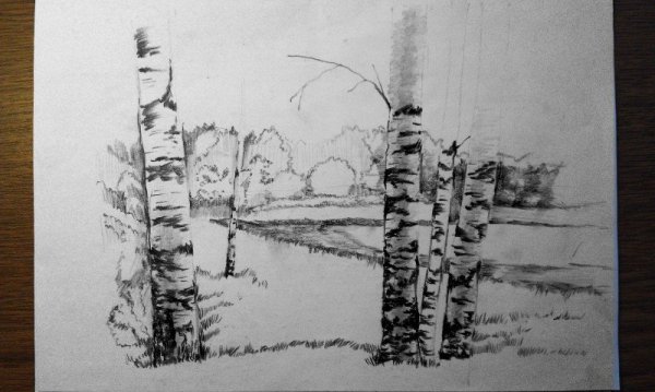 Рисование березовые листики