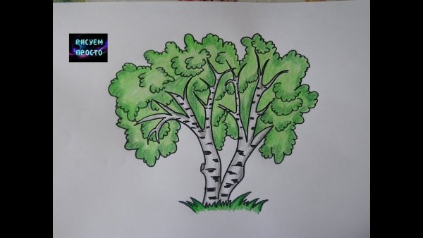 Осенний лес цветными карандашами