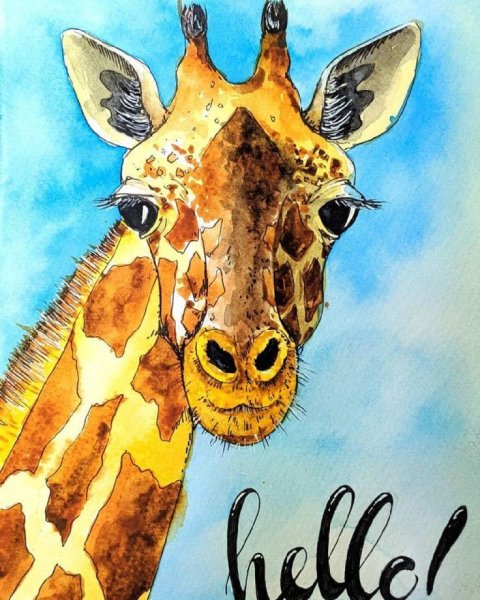 Акварельный скетч Жираф