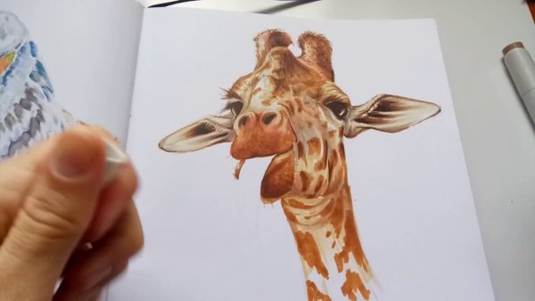 Скетч жирафа маркерами