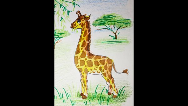 Жираф в Африке для дошкольников