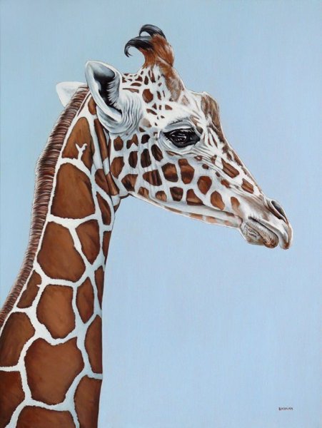 Жираф арт