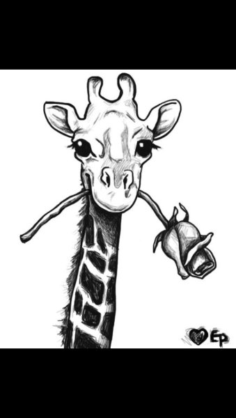 Жираф для срисовки