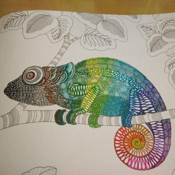 Антистресс хамелеон