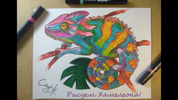 Рисунки маркерами хамелеон