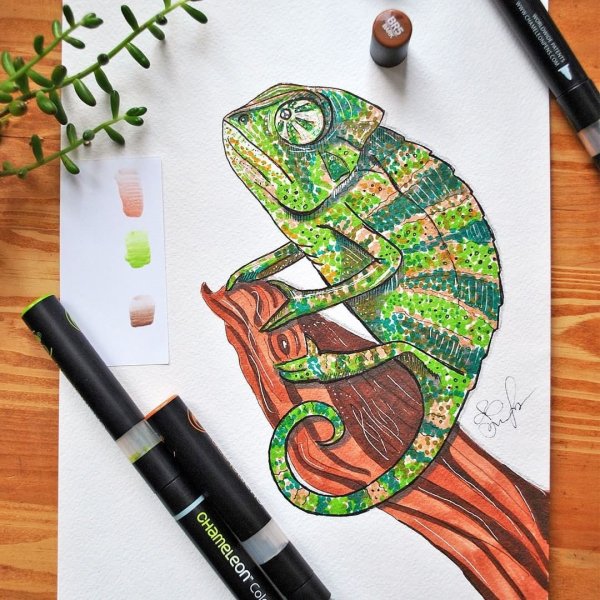 Хамелеон скетч маркерами