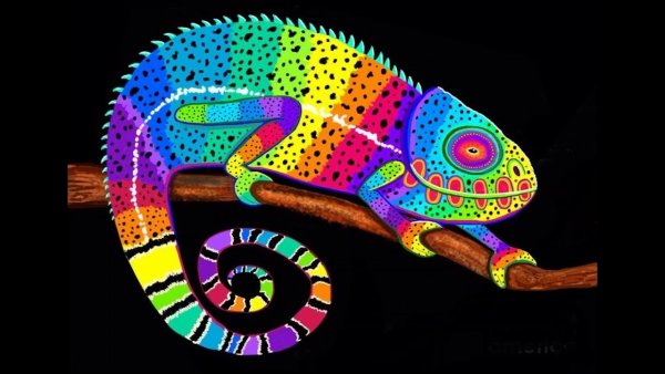 Рисование хамелеона