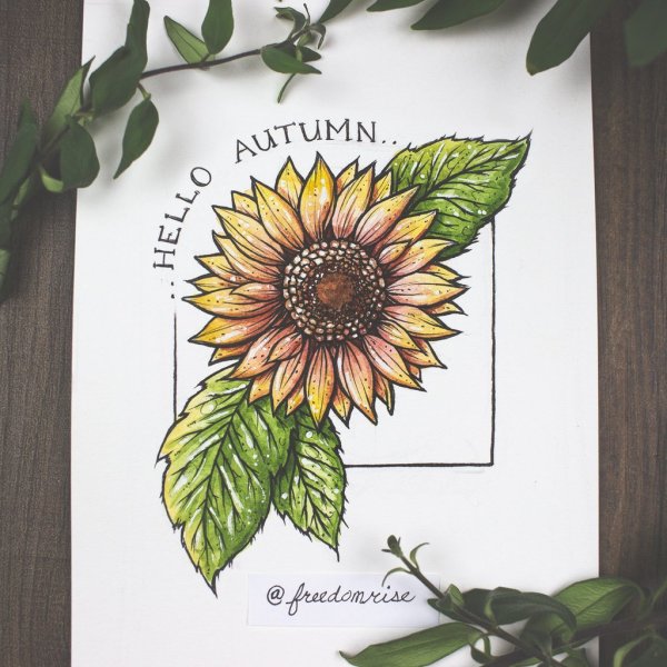 Подсолнухи скетч маркерами