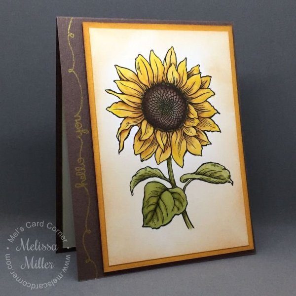 Подсолнух маркерами