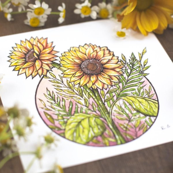 Подсолнухи для скетчбука