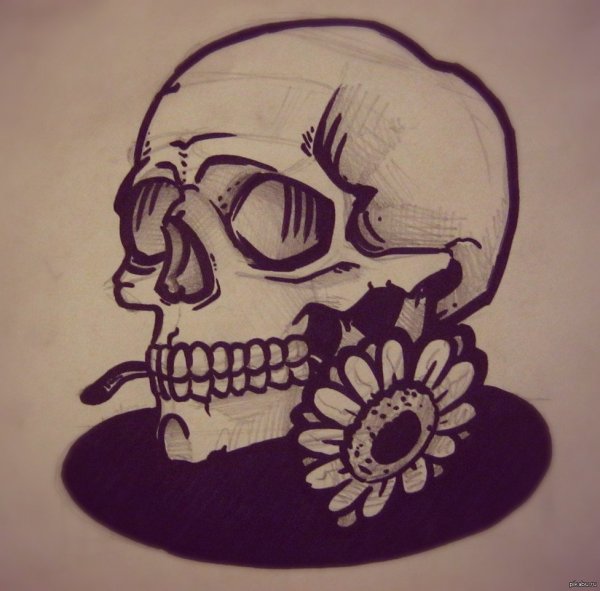 Череп маркером