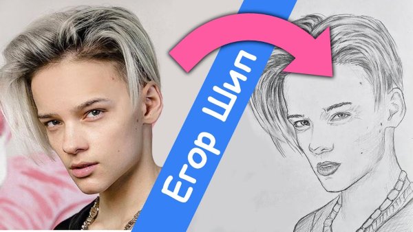 Егор шип рисунок