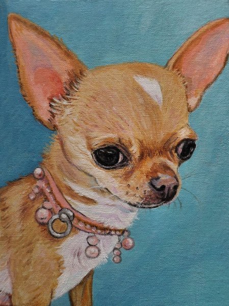 Чихуахуа рисунок