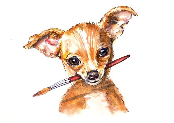Собака с кисточкой