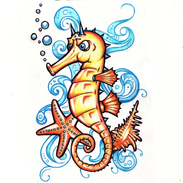 Морской конёк рисунок цветной