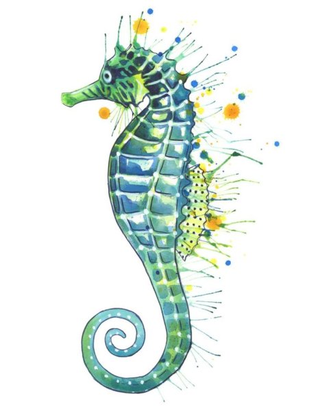 Морской конек