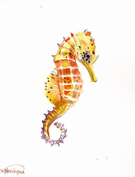 Морской конек фломастерами
