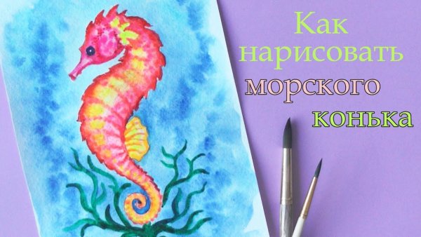 Рисование морской конек в подготовительной группе
