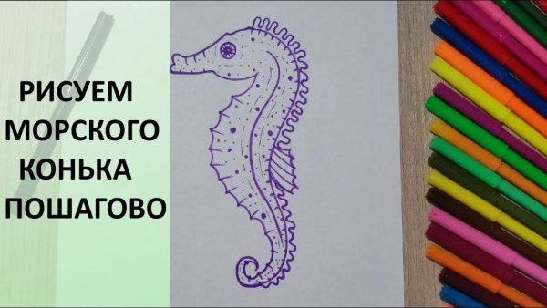 Конёк фламастером рисунок