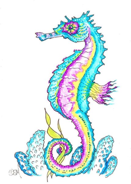 Морской конек красивый рисунок