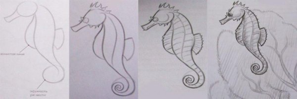 Морской конек поэтапно