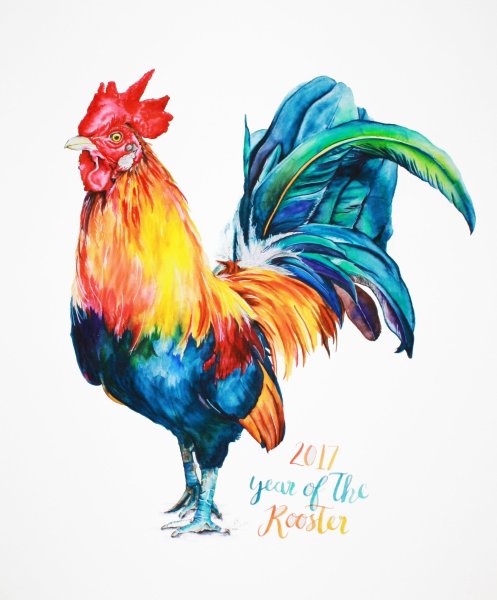 Рисуем фломастерами петуха