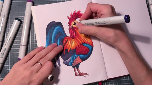 Петуха скетч маркерами