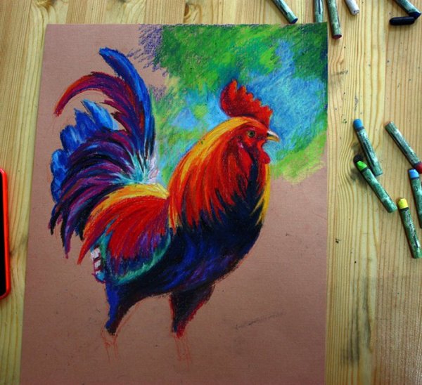 Петух для срисовки карандашом цветной