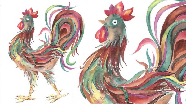 Петух клипарт