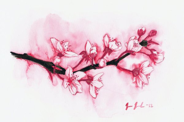 Батик Сакура эскизы