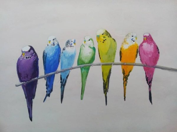 Волнистый попугайчик гуашью