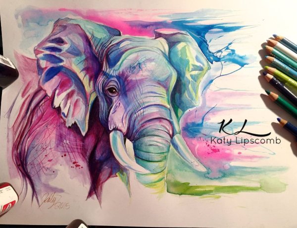 Слон рисунок фломастером