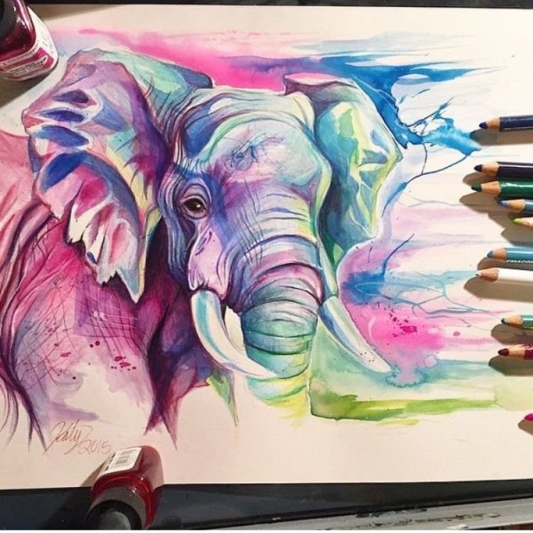 Слон скетч маркерами