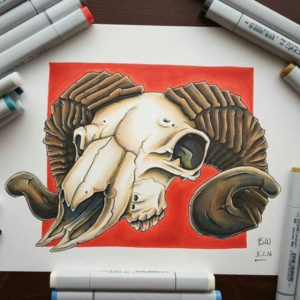 Детский рисунок слон фломастером