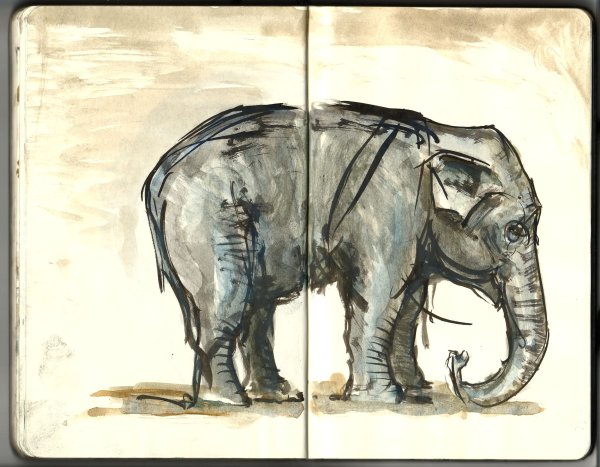 Слоник рисунок легкий