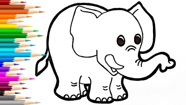 Техника рисования слона